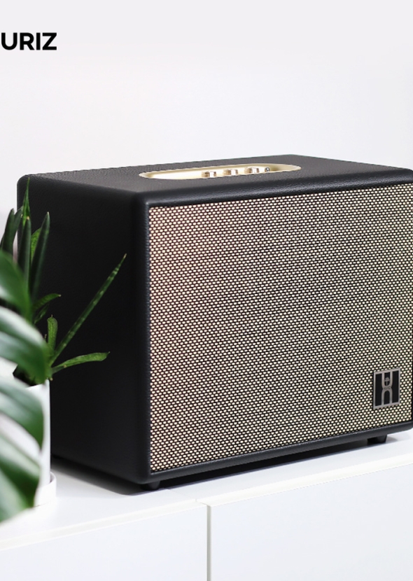 [휴라이즈] 고출력 블루투스 스피커 HR-T22 TITAN